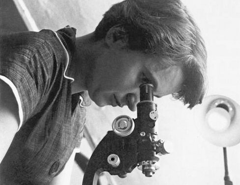 Image for The History of Rosalind Franklin