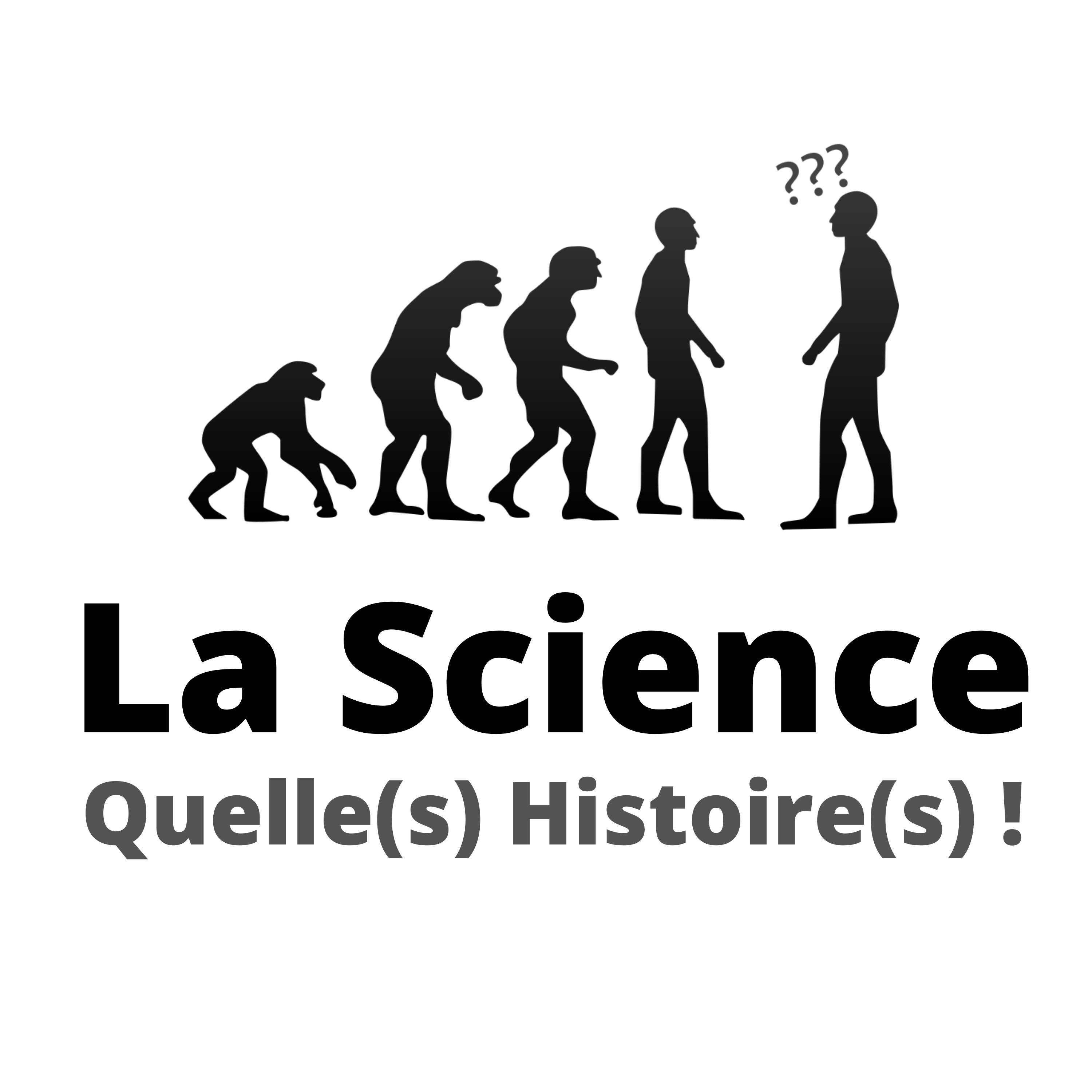 Image for Le Stress, Quelle(s) Histoire(s) !