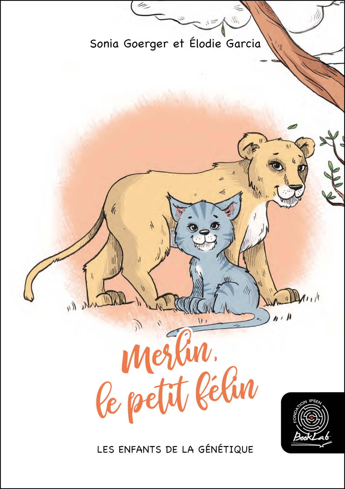 Image for Merlin, le petit félin