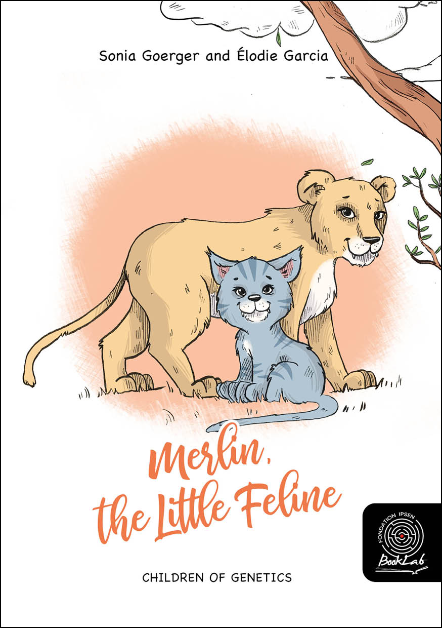 Image for Merlin, the Little Feline